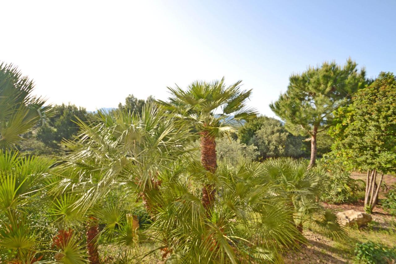 Beautiful Maria * Alcudia (Mallorca)