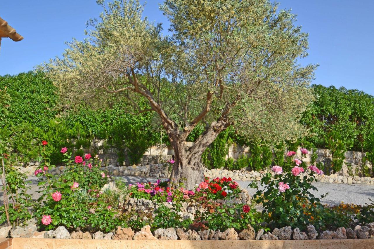 Villa Beautiful Maria *
